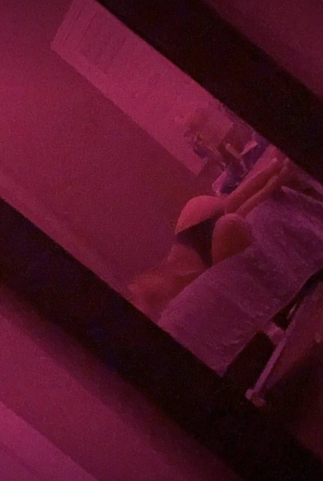 provence_jadee